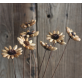 Wood Flowers | Dried Flower Arrangement Daisy
